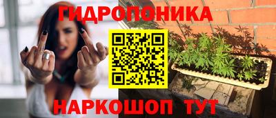 Альфа ПВП Кунгур