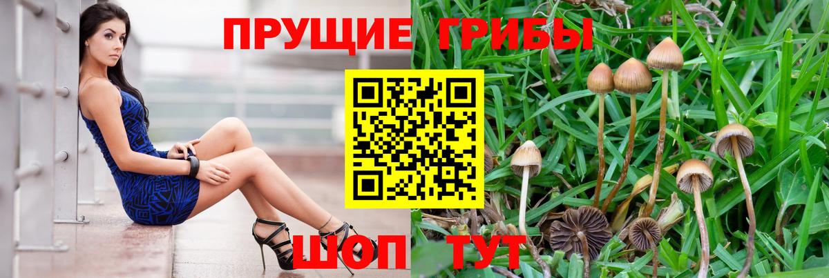 Галлюциногенные грибы Cubensis Уссурийск