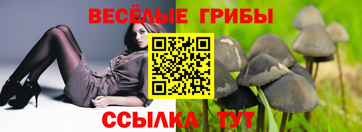Уссурийск  Псилоцибиновые грибы Magic Shrooms  Вход с VPN 